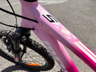 Bicicleta Monty 20” rosa