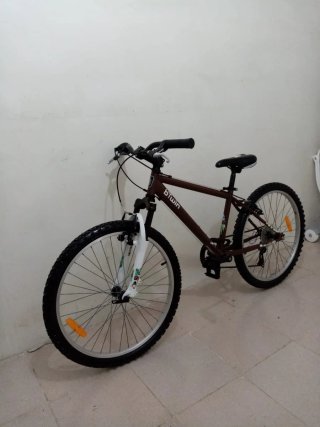 Bicicleta niño BTWIN 24 pulgadas para 8.9.10 años