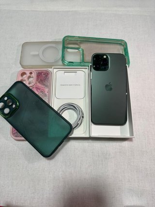 iPhone 13 Pro Max Custodie e Telefono