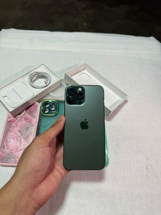 iPhone 13 Pro Max Custodie e Telefono