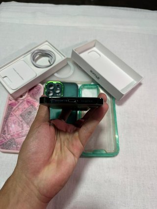 iPhone 13 Pro Max Custodie e Telefono