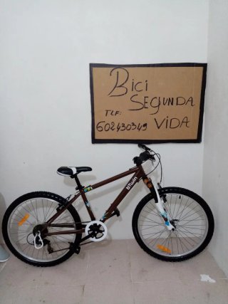 Bicicleta Btwin niño 24 pulgadas