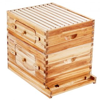 Kit de Inicio de Colmena de Abejas de 20 Marcos, Madera de Abeto Recubierta de Cera de Abeja, 1 Caja Profunda + 1 Caja Media, Kit de Colmena Langstroth, Ventanas Acrílicas Transparentes con Fundac...