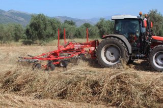 Rastrillo henificador Enorossi Evoduo 660