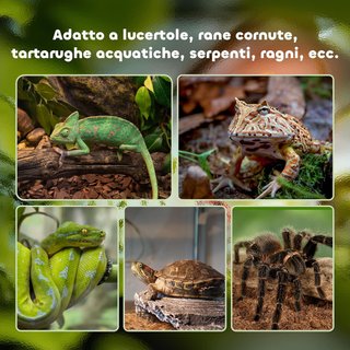 Terrario para Reptiles Elevado con Cerradura y Puerta de Alimentación, Terrario para Tortugas y Serpientes en Vidrio Templado y Malla Metálica, 50X30X25 Cm, Negro