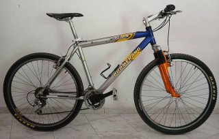 Se vende bicicleta boomerang