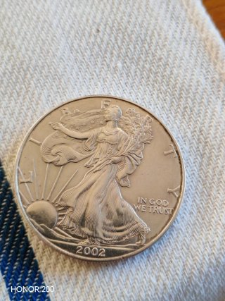 Moneda Plata Dolar Americano Silver Eagle 2002