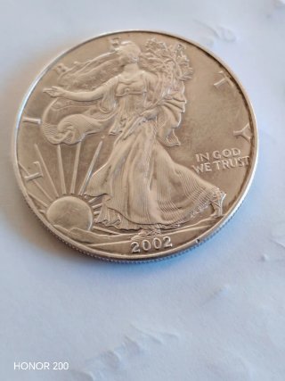 Moneda Plata Dolar Americano Silver Eagle 2002