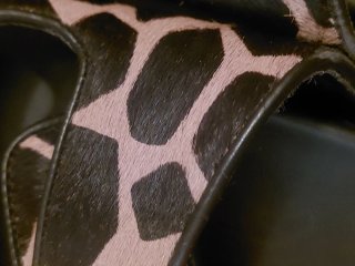 Sandalias Exé Animal Print Hebillas Doradas