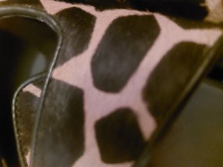 Sandalias Exé Animal Print Hebillas Doradas