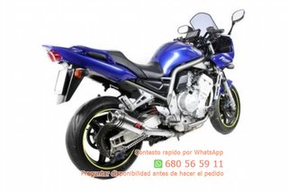 Tubo de escape Yamaha Fazer 1000 Ref:6610022