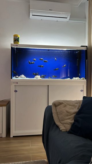Acuario o pecera 350L