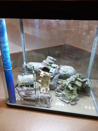 Acuario Wave Laguna 30L