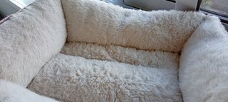 Cama para perro pequeño