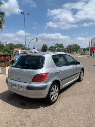 Peugeot 307 2004