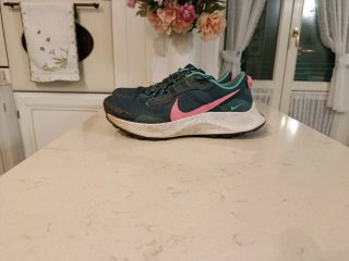 Nike Pegasus Trail Scarpe da Corsa Donna