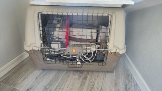 Transportín para perro grande