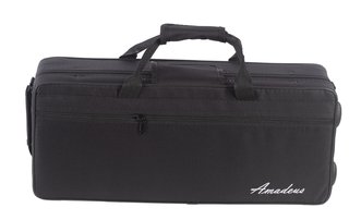 Trompeta Amadeus TRC500 en DO