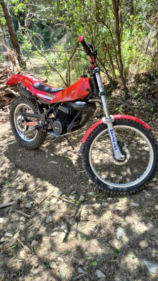 Beta TR33 Trial Post-Clásica Roja
