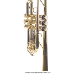 Trompeta Amadeus Profesional TRC800 en DO