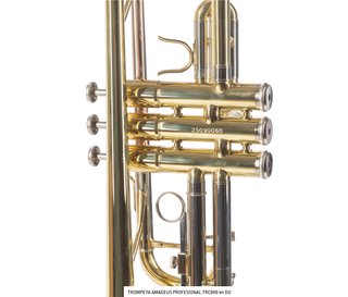 Trompeta Amadeus Profesional TRC800 en DO