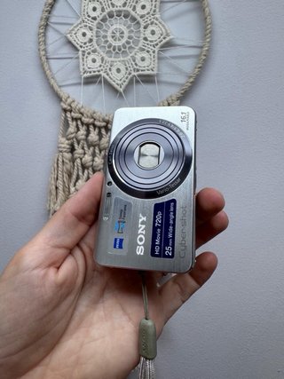 Sony Cyber-shot DSC-W630 16.1 MP Plata