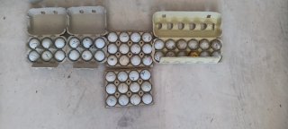 210 Pelotas de Golf