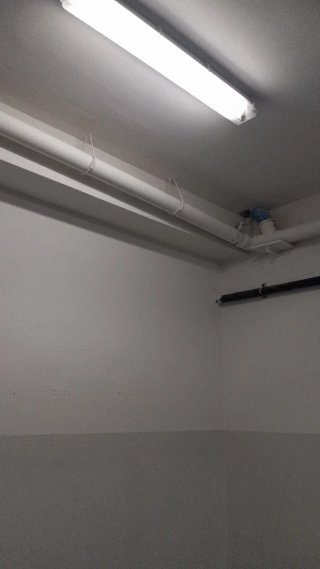Pintor para Reformas y Paletería (las Tardes)