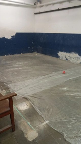 Pintor para Reformas y Paletería (las Tardes)