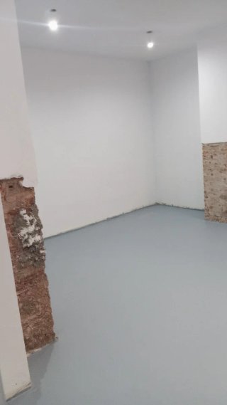 Pintor para Reformas y Paletería (las Tardes)