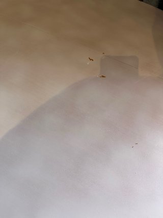 Mesa redonda de madera para restaurar