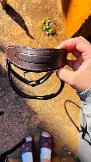 Brida de cuero marrón para caballo