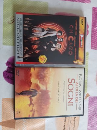DVD Al di là dei sogni (What Dreams May Come)