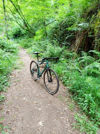 Bici Gravel Van Rysel