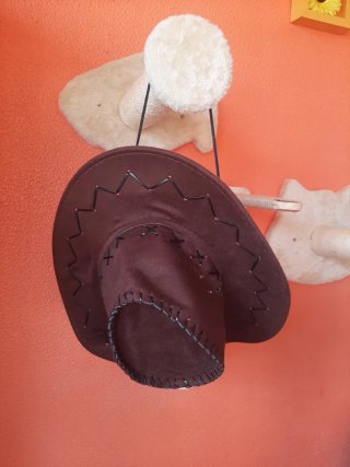 Gorro vaquero y collar dorado