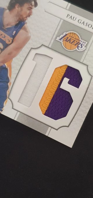 Cromo Pau Gasol National Treasures Patch /10