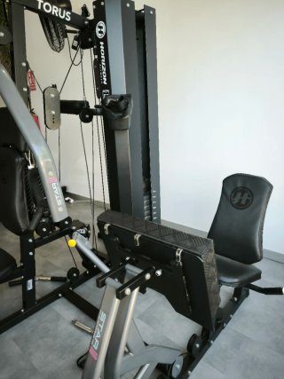 Multiestación Home Gym Horizon Torus 5