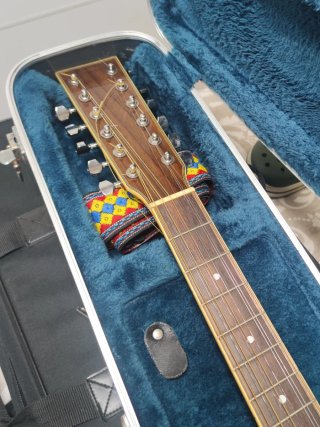 Guitarra Acústica 12 Cuerdas Autoamplificada