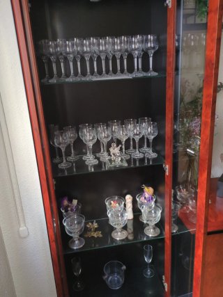 Vitrina de madera y cristal