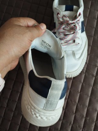 Zapatillas Geox Mujer Talla 36