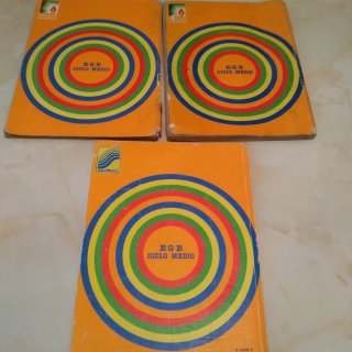 3 libros de matemáticas de santillana 1985/86/87