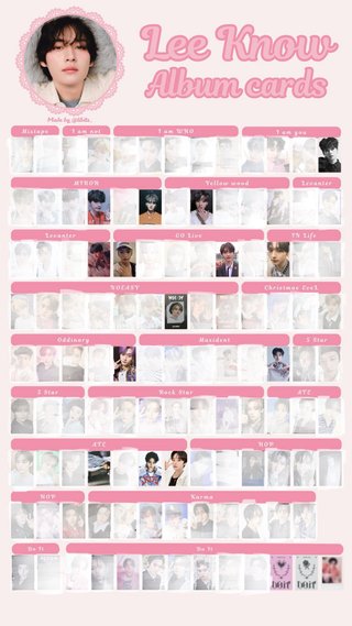 Celebrate Pc Holder Stray kids