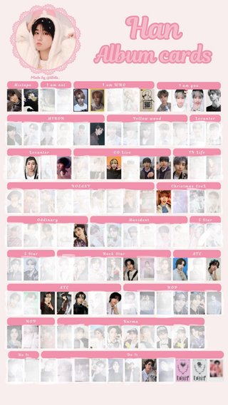 Celebrate Pc Holder Stray kids