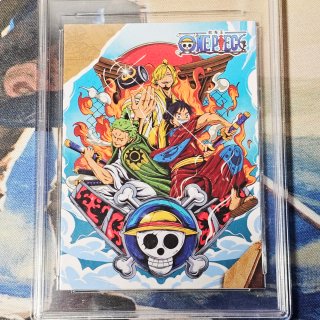 One Piece Tcg Carta Gradata 10 Manga Cover