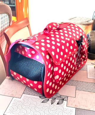 Transportín gato/perro pequeño <5kg