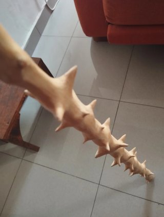 Garrota de Acebuche