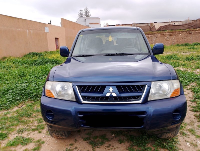 Mitsubishi - foto 1