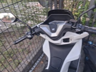 Honda PCX 125 Scooter Blanca , agosto 2025,