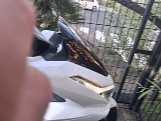 Honda PCX 125 Scooter Blanca , agosto 2025,