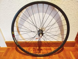 Bici Giant Reign Talla S